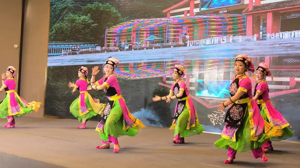 隴南市宕昌縣文化旅游宣傳暨招商引資推介會(huì)現(xiàn)場表演.jpg
