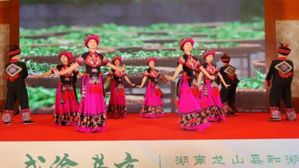 湖南省龍山縣和湖北省來鳳縣文化旅游協(xié)作推介大會現(xiàn)場.jpg
